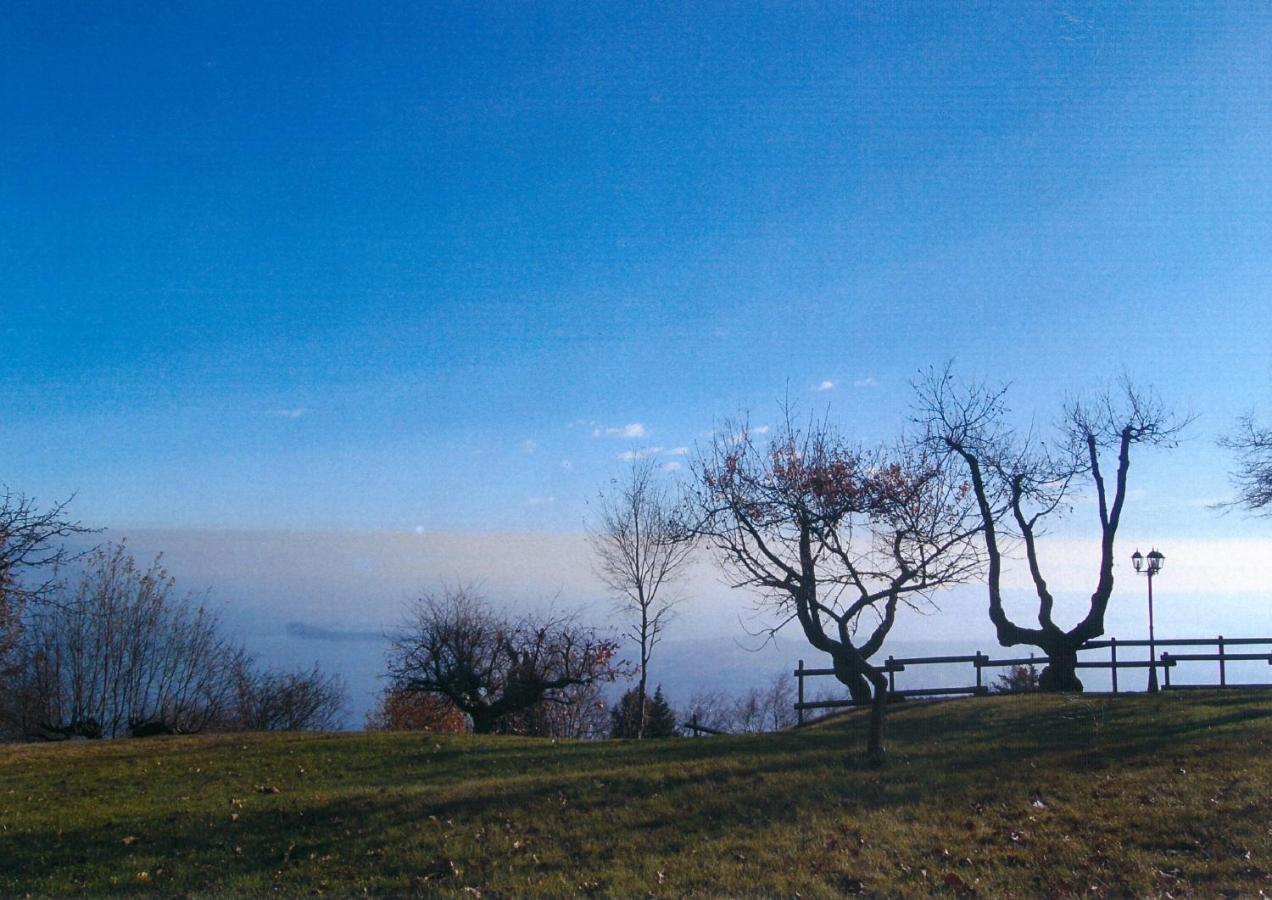 La Fiocchina - Magic Place - Apartments & Studios In Garda Lake - Countryside Farmhouse, Inside The Middle Of The Lake Saló Exterior foto
